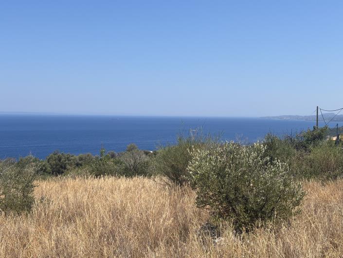 Image No.24-Land for sale