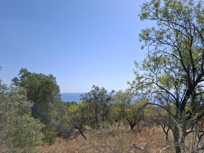 Image No.2-Land for sale