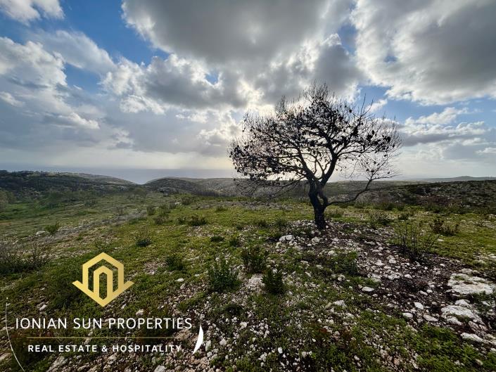 Image No.7-Land for sale