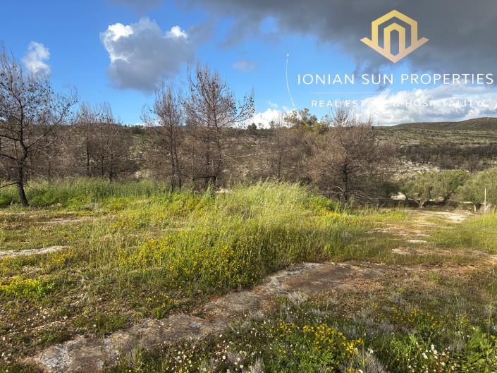 Image No.2-Land for sale