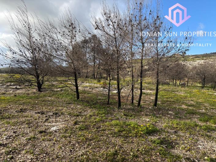 Image No.7-Land for sale