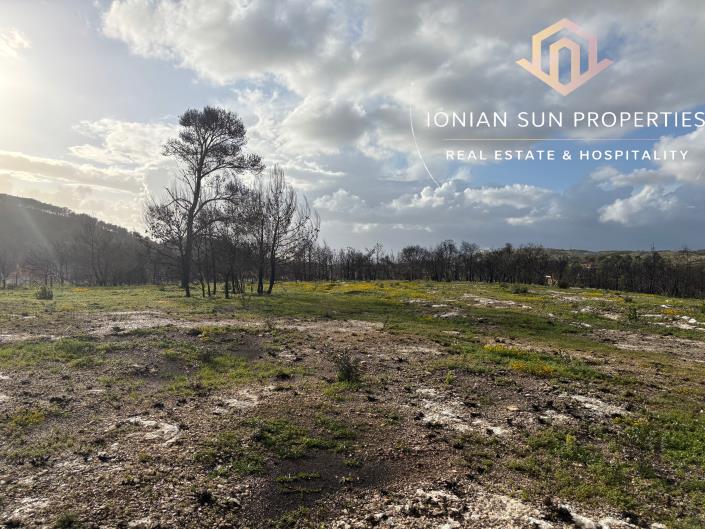 Image No.9-Land for sale