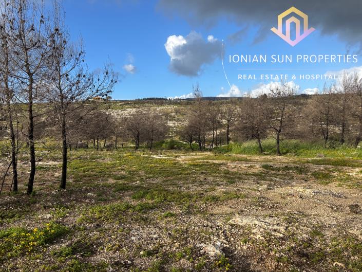 Image No.14-Land for sale