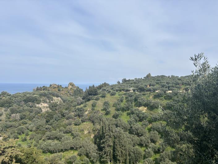 Image No.12-Land for sale