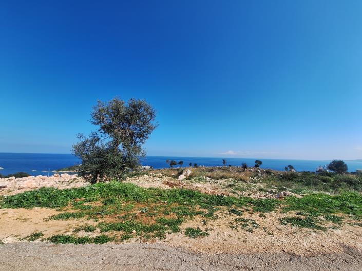 Image No.14-Land for sale