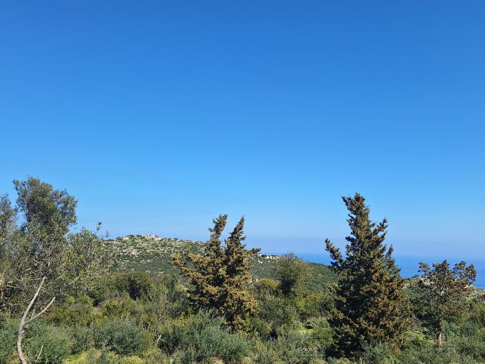 Image No.21-Land for sale