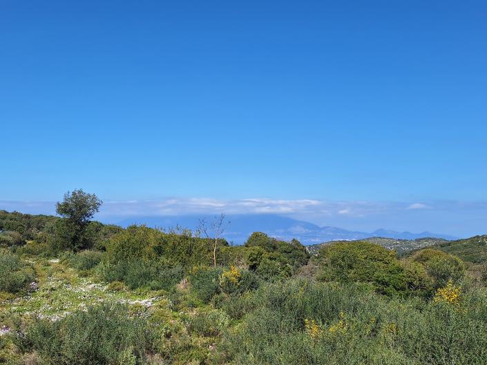 Image No.24-Land for sale