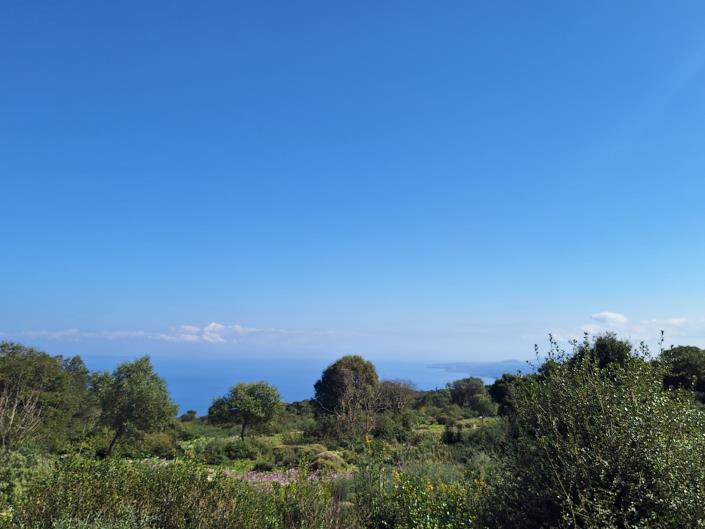 Image No.25-Land for sale