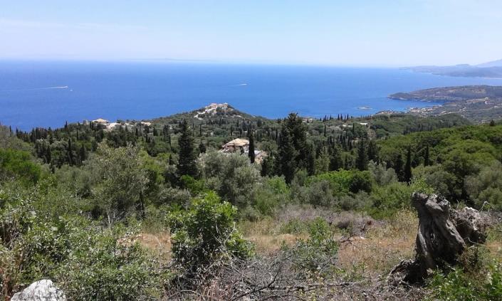Image No.5-6 Bed Villa for sale