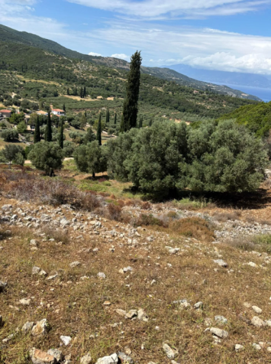 Image No.3-Land for sale