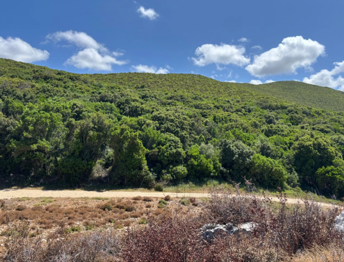 Image No.8-Land for sale