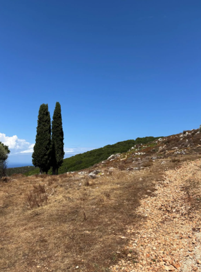 Image No.26-Land for sale