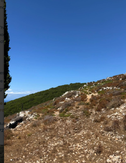 Image No.31-Land for sale