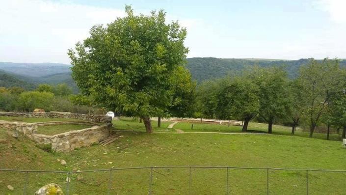 Image No.19-2 Bed House/Villa for sale