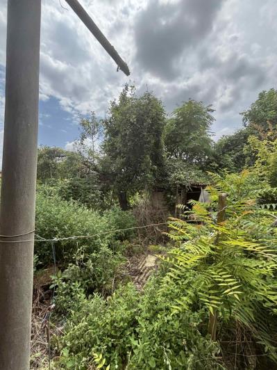 Image No.25-3 Bed House for sale