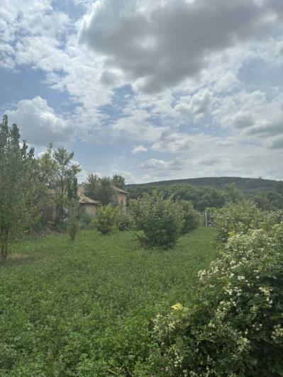 Image No.32-3 Bed House for sale