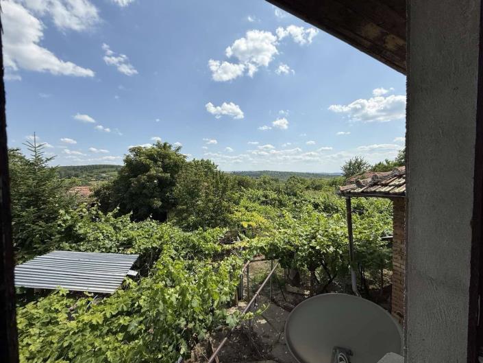 Image No.25-5 Bed House for sale