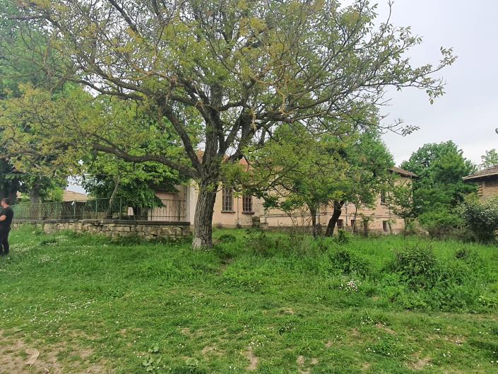 Image No.8-10 Bed House for sale