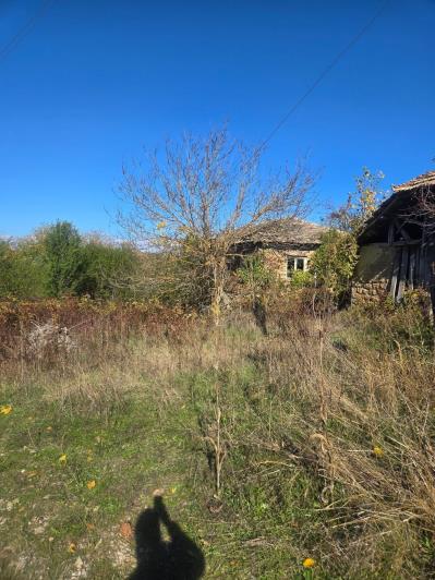 Image No.4-2 Bed House for sale