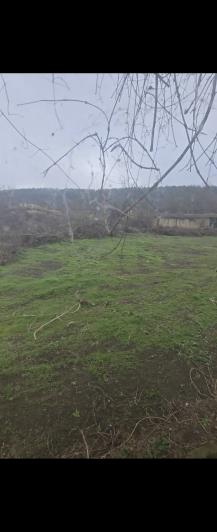 Image No.21-3 Bed House for sale
