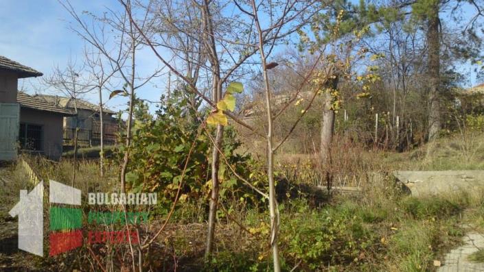 Image No.41-10 Bed Villa / Detached for sale