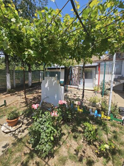 Image No.37-2 Bed House for sale