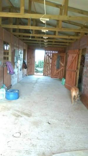 Image No.24-Ferme de 4 chambres à vendre à Sevlievo