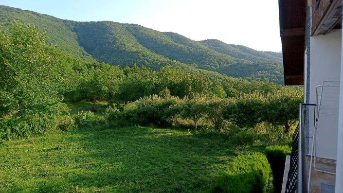 Image No.41-Ferme de 4 chambres à vendre à Sevlievo