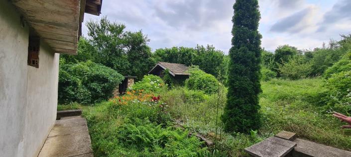 Image No.32-3 Bed House for sale