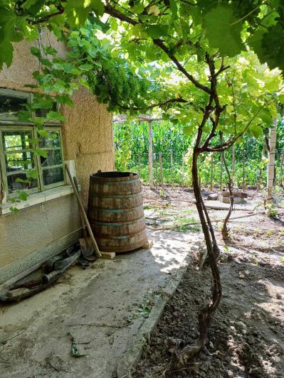Image No.6-2 Bed House for sale