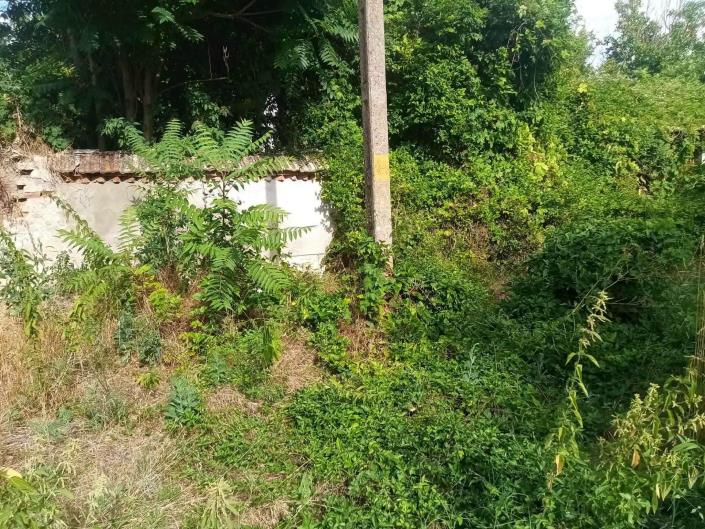 Image No.5-3 Bed House for sale