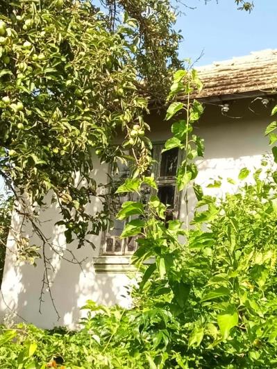 Image No.24-3 Bed House for sale
