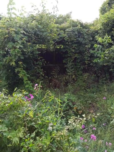 Image No.27-3 Bed House for sale