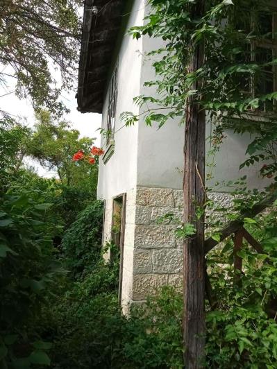 Image No.19-3 Bed House for sale