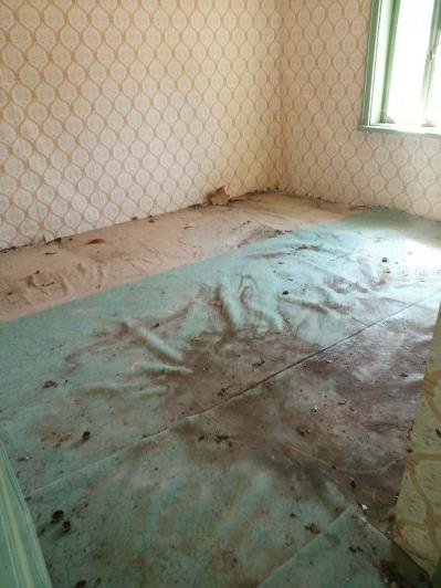 Image No.13-2 Bed House for sale