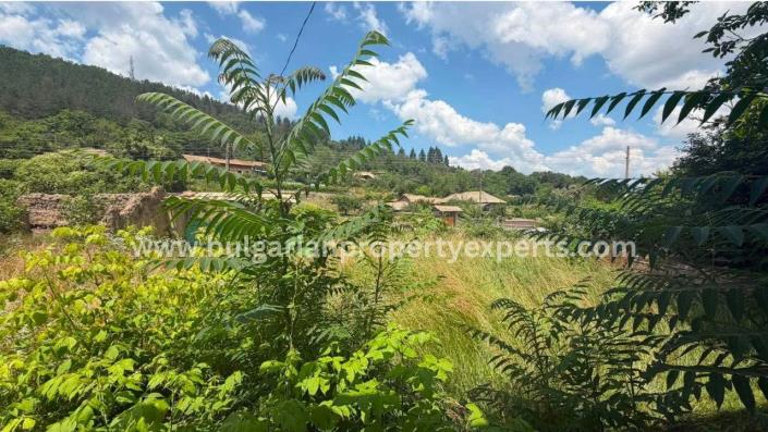 Image No.5-3 Bed House for sale