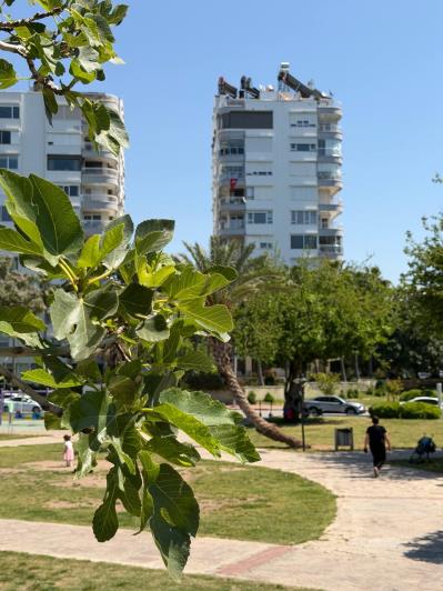 Image No.2-Appartement de 3 chambres à vendre à Antalya