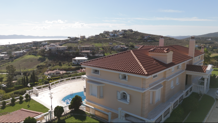 Image No.6-12 Bed Mansion for sale