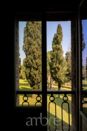2025-04-10_via-Collinello-887--Bertinoro_163