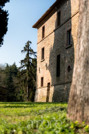 Image No.23-Villa de 4 chambres à vendre à Bertinoro
