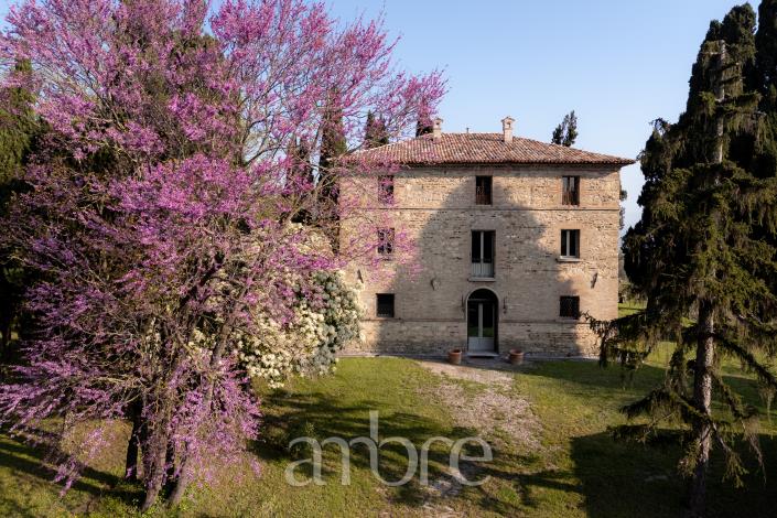 Image No.3-Villa de 4 chambres à vendre à Bertinoro