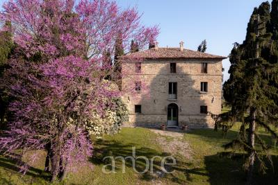 2025-04-10_via-Collinello-887--Bertinoro_029