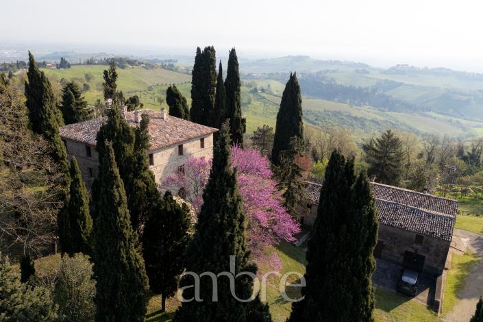 Image No.33-Villa de 4 chambres à vendre à Bertinoro