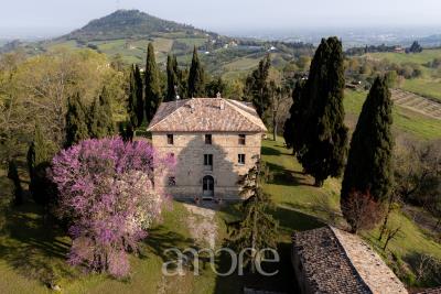 2025-04-10_via-Collinello-887--Bertinoro_023