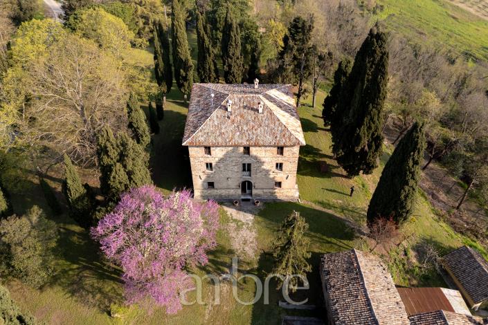 Image No.29-Villa de 4 chambres à vendre à Bertinoro