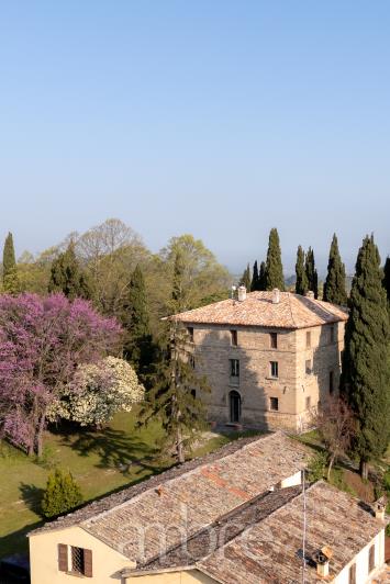 Image No.30-Villa de 4 chambres à vendre à Bertinoro