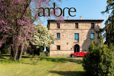 2025-04-10_via-Collinello-887--Bertinoro_096