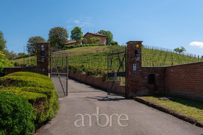 Image No.50-Villa de 10 chambres à vendre à Nizza Monferrato