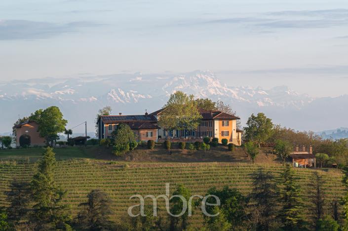 Image No.54-Villa de 10 chambres à vendre à Nizza Monferrato