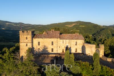 2024-06-27_castello-di-Montechino_520